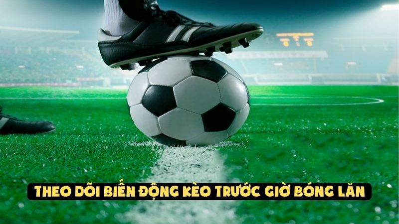 Hiểu Rõ Tỷ Lệ Tài Xỉu Trong Bóng Đá Để Cược Khôn Ngoan