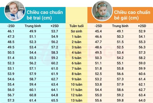 Khái niệm về bách phân vị và độ lệch chuẩn