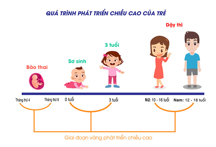 Có thể làm gì để hỗ trợ chiều cao trong tuổi dậy thì?