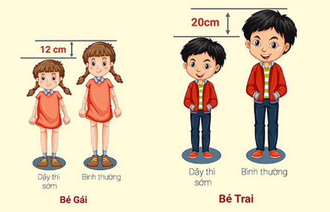 Dậy thì tạo ra giai đoạn tăng chiều cao nhanh