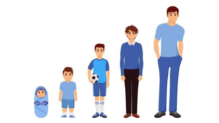 Phụ huynh nên làm gì nếu bố mẹ đều thấp?