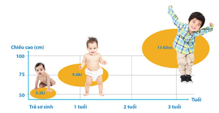 Cách theo dõi tốc độ tăng chiều cao của trẻ