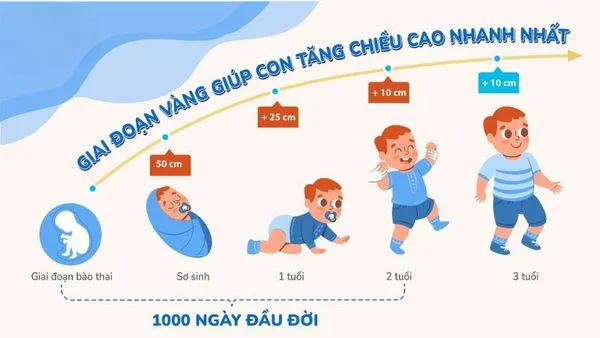 Các giai đoạn tăng trưởng chiều cao của trẻ