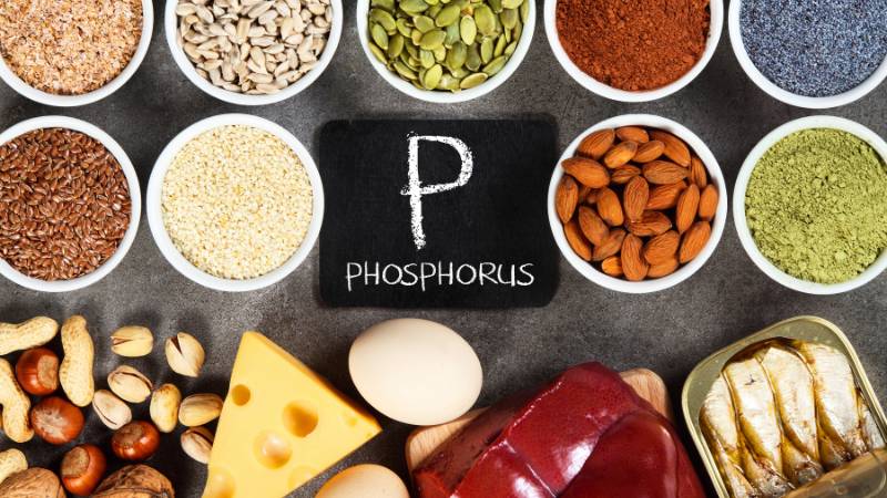 Bổ sung phospho để trẻ cao hơn