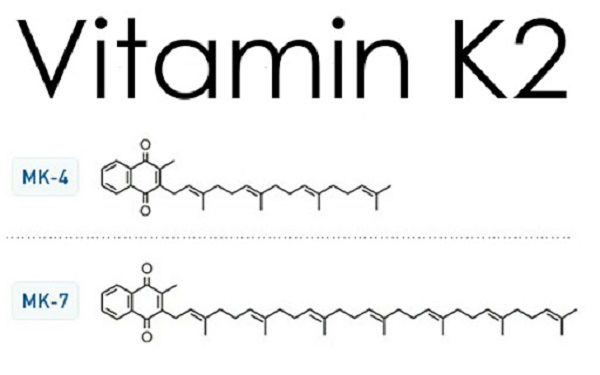 Vitamin K2 bao gồm nhiều chuỗi nhưng phổ biến nhất là MK4 và MK7