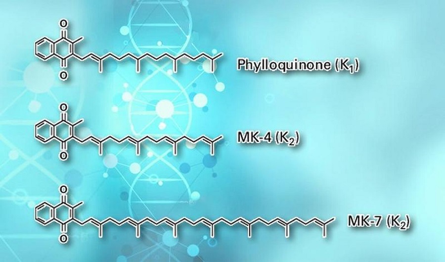 cấu trúc của vitamin k1 khác vitamin k2