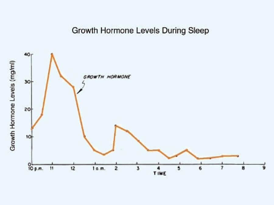 Biểu đồ biểu thị nồng độ hormon GH cơ thể tiết ra trong khi ngủ