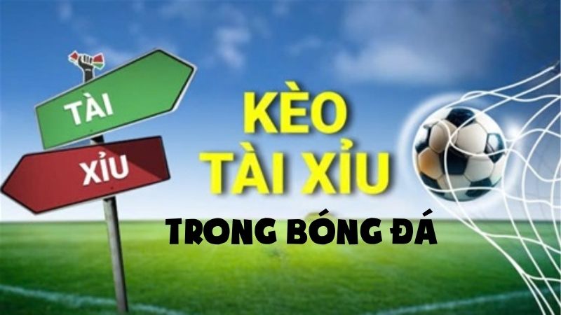 Hiểu Rõ Tỷ Lệ Tài Xỉu Trong Bóng Đá Để Cược Khôn Ngoan