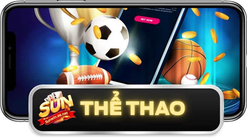 Tổng quan về sảnh thể thao Sunwin