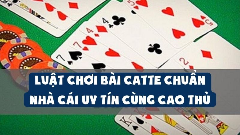 Luật Chơi Bài Catte Chuẩn Nhà Cái Uy Tín Cùng Cao Thủ