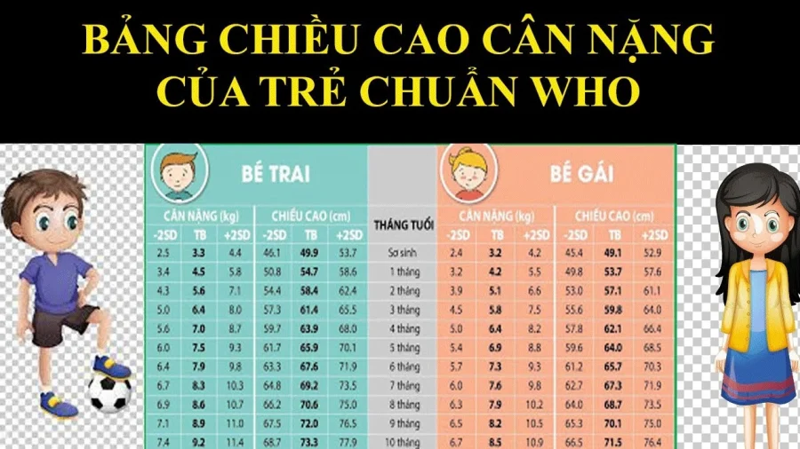 Chiều cao chuẩn của trẻ theo độ tuổi và cách theo dõi