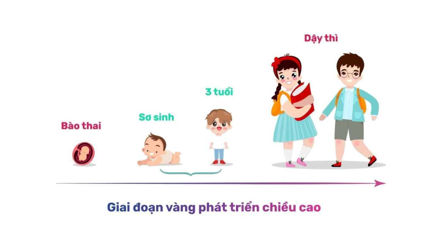 Chiều cao trẻ em trước và sau tuổi dậy thì thay đổi thế nào?